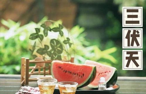 娱乐吃瓜健康养生小说,娱乐、吃瓜与身心健康的小说之旅