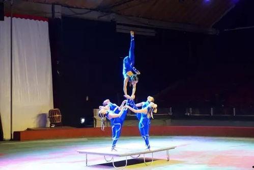 娱乐吃瓜君表演杂技,惊险杂技秀，带你领略极限魅力