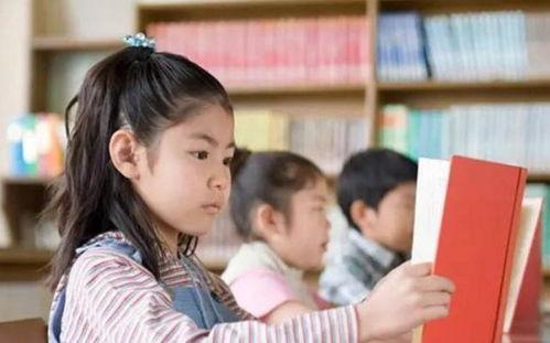 娱乐吃瓜假小子免费阅读,吃瓜假小子的逆袭之路